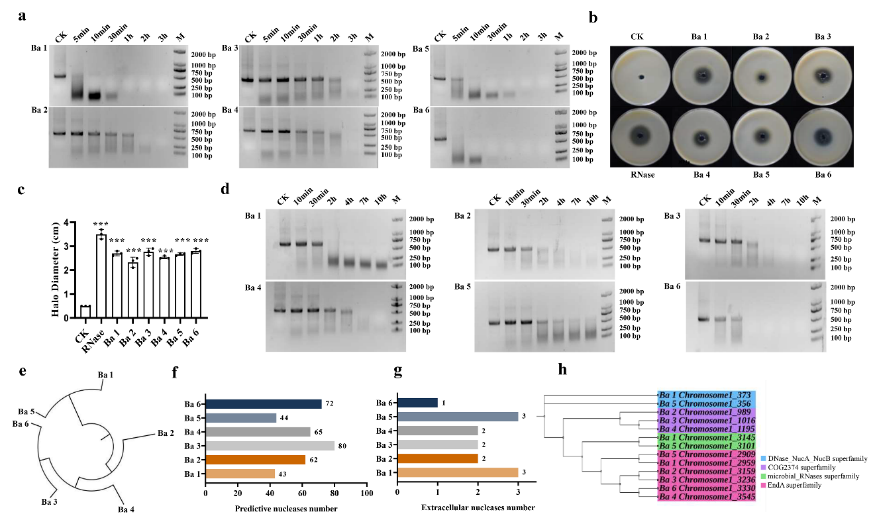 在线德州扑克现金