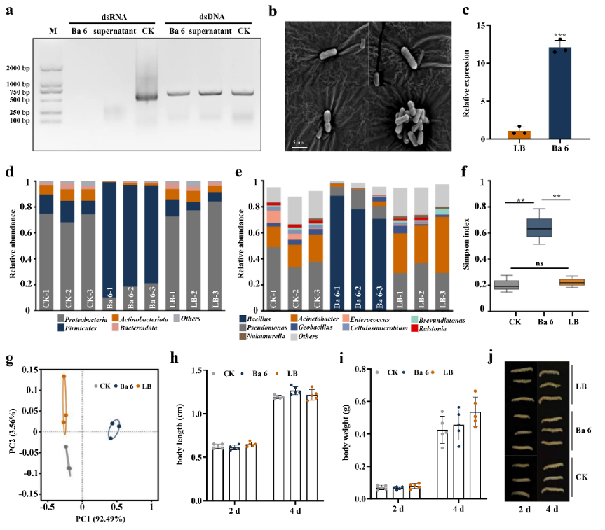 在线德州扑克现金