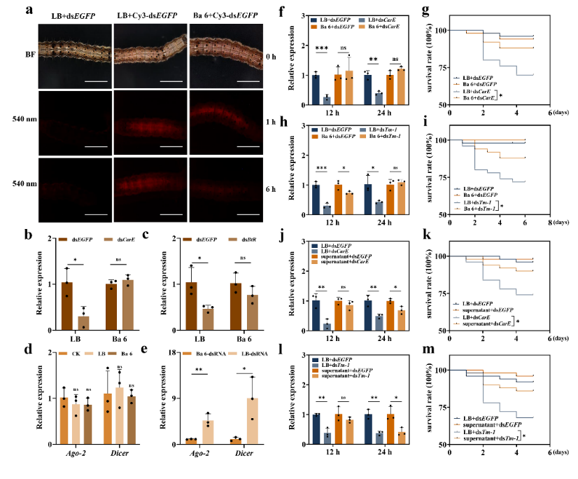 在线德州扑克现金
