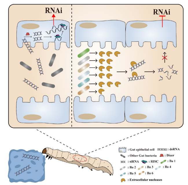 在线德州扑克现金