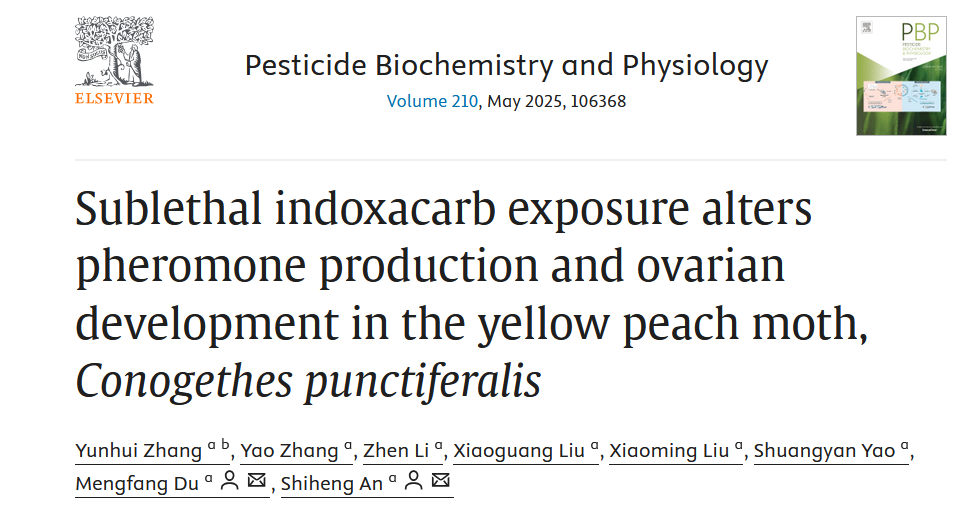 在线德州扑克现金