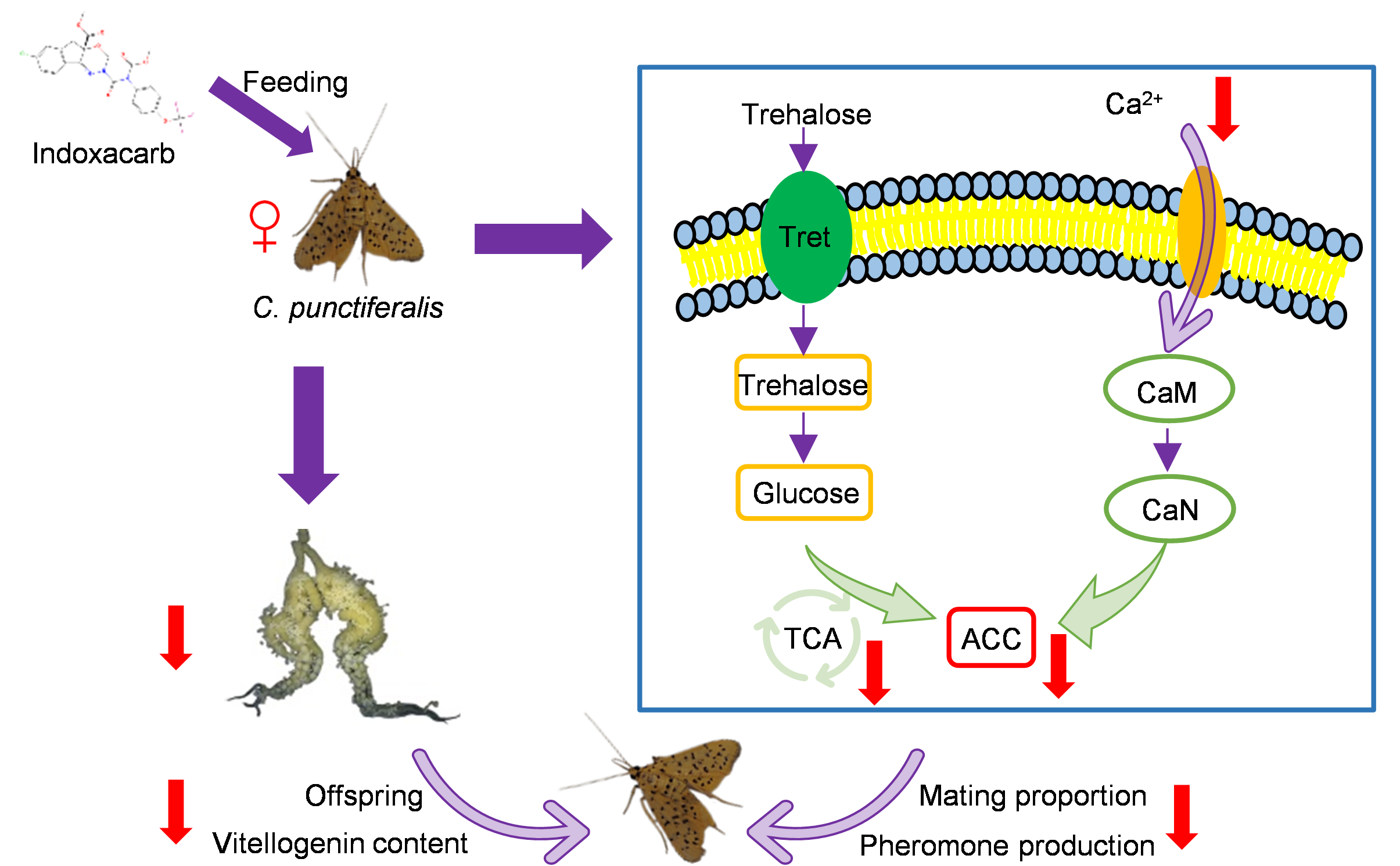 在线德州扑克现金