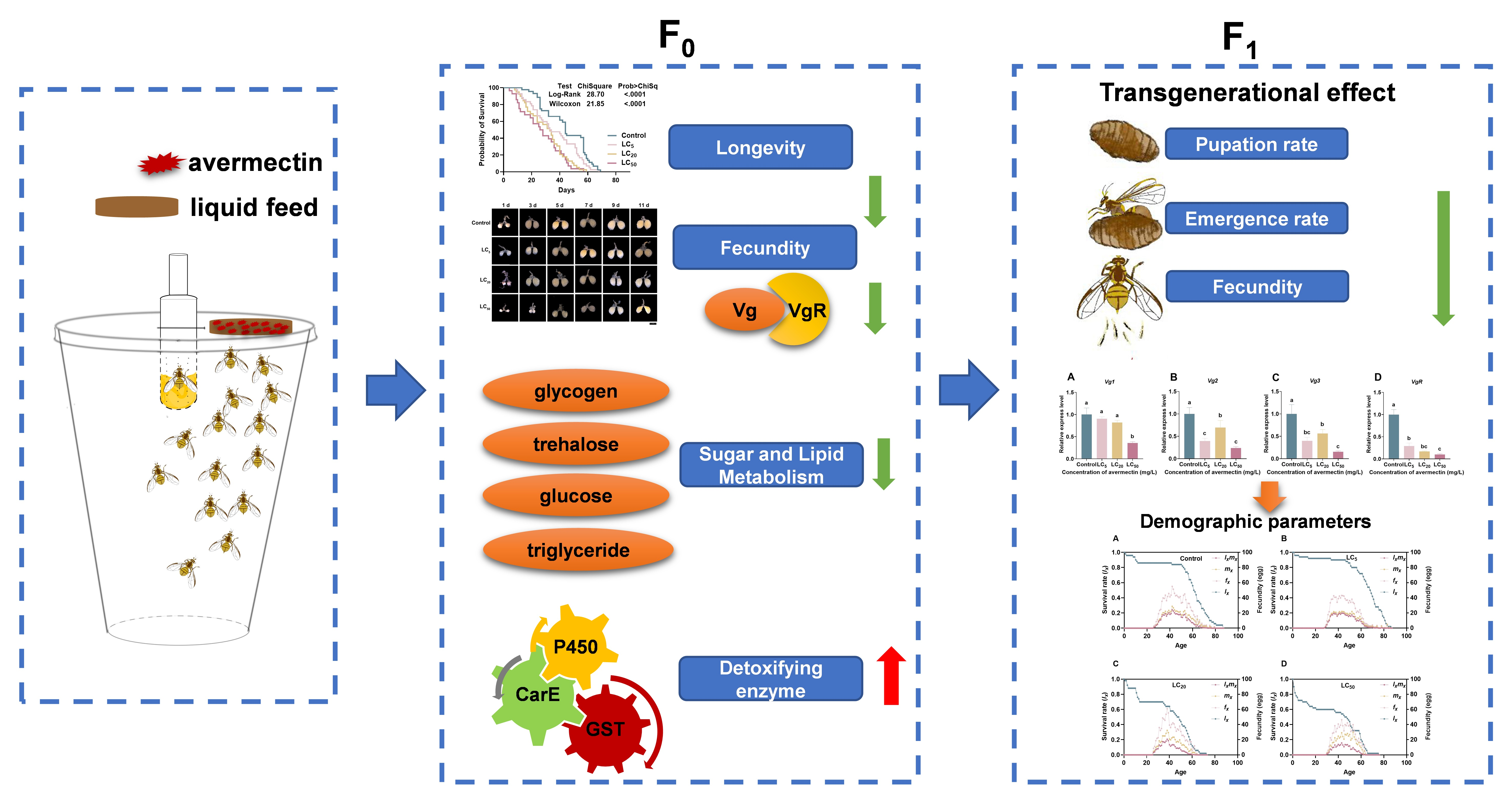 在线德州扑克现金