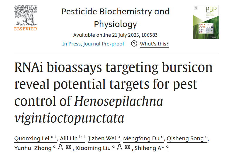 在线德州扑克现金