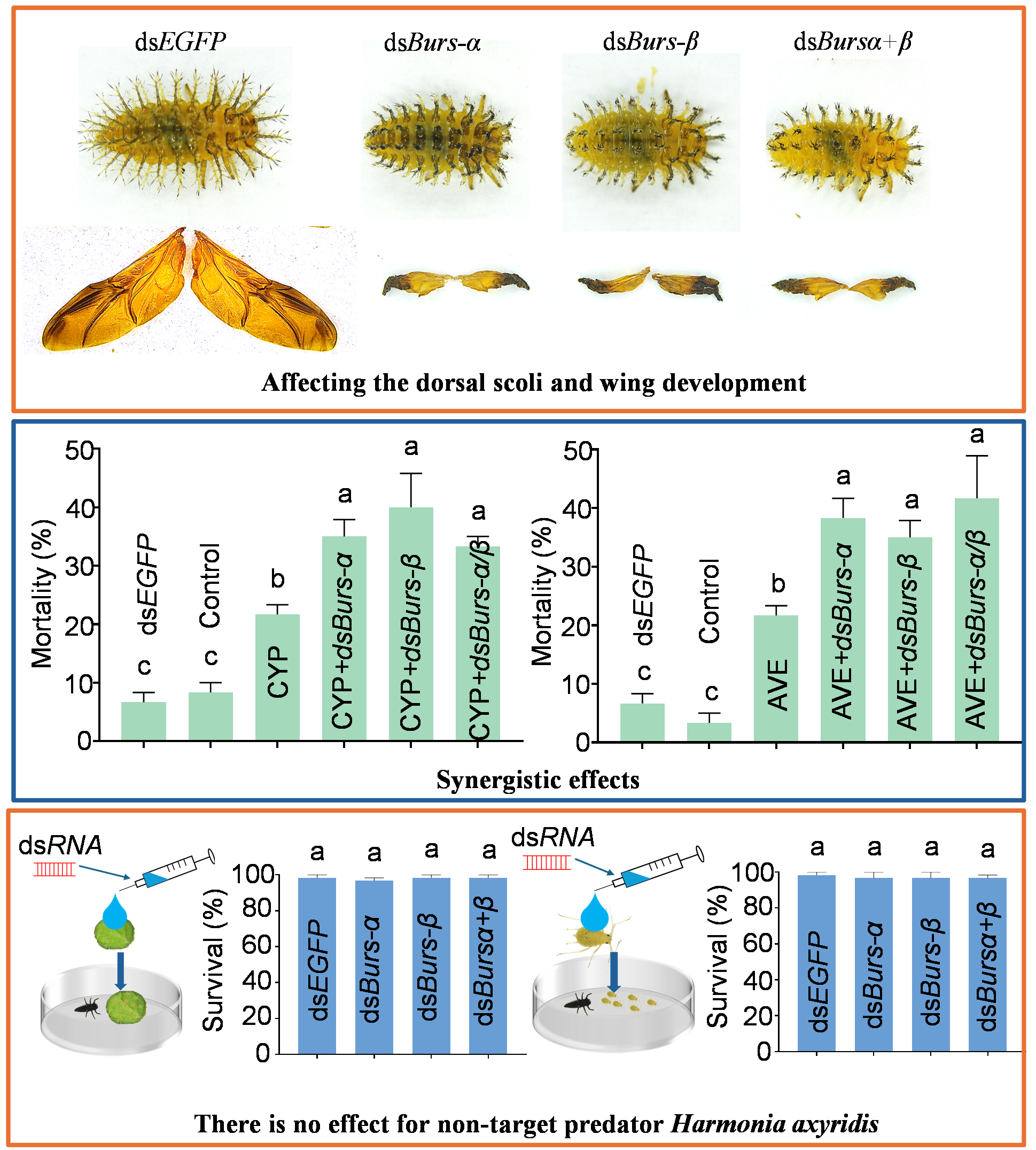 在线德州扑克现金