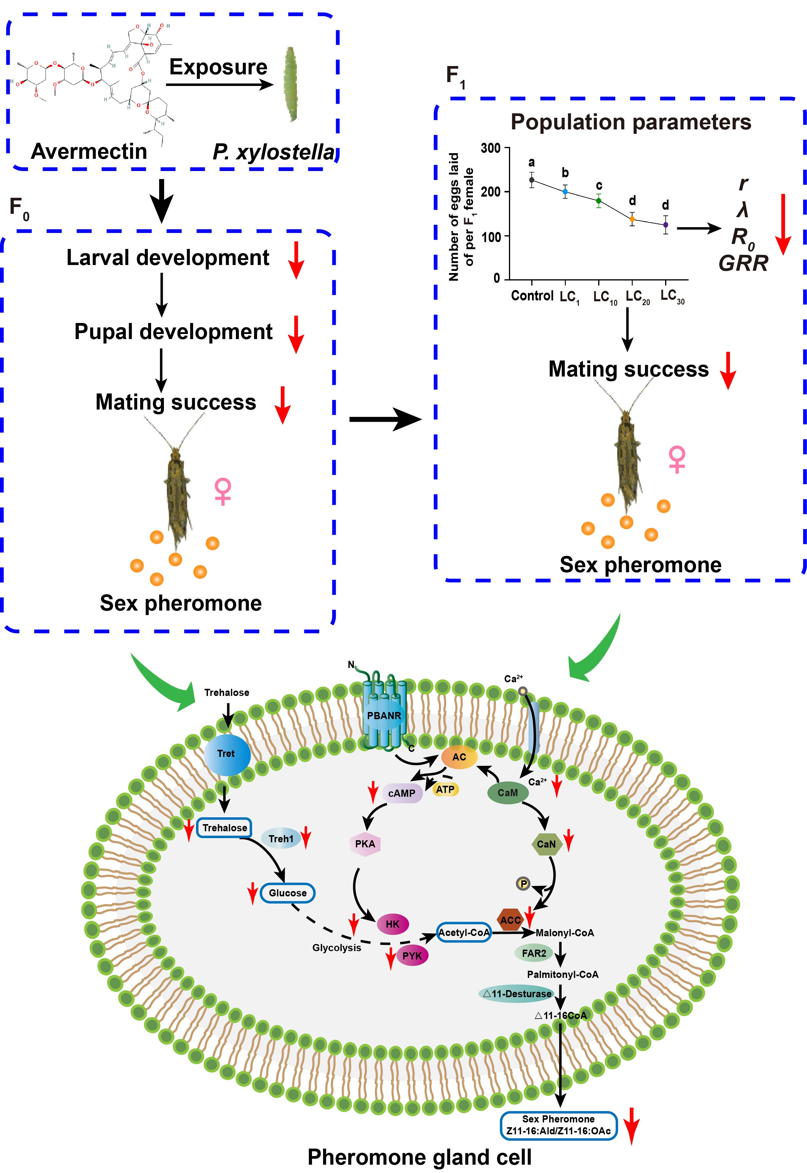 在线德州扑克现金