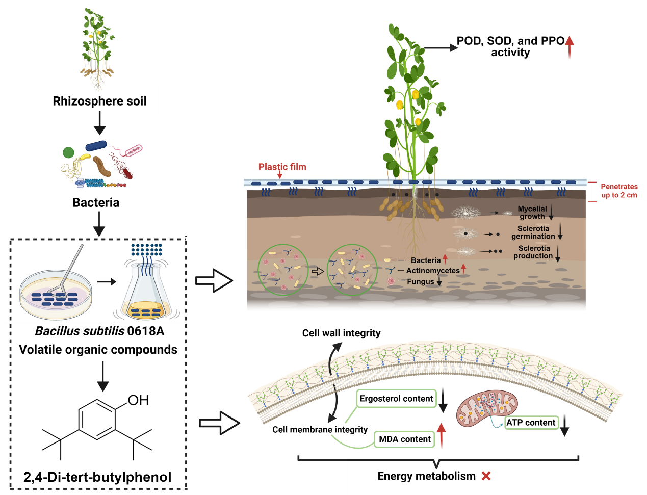 在线德州扑克现金
