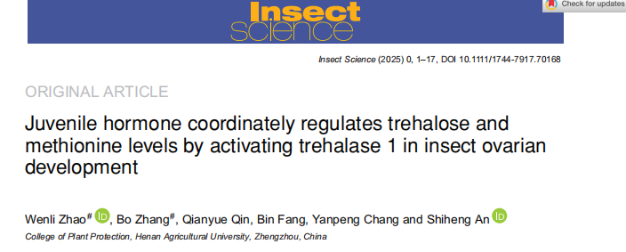 在线德州扑克现金