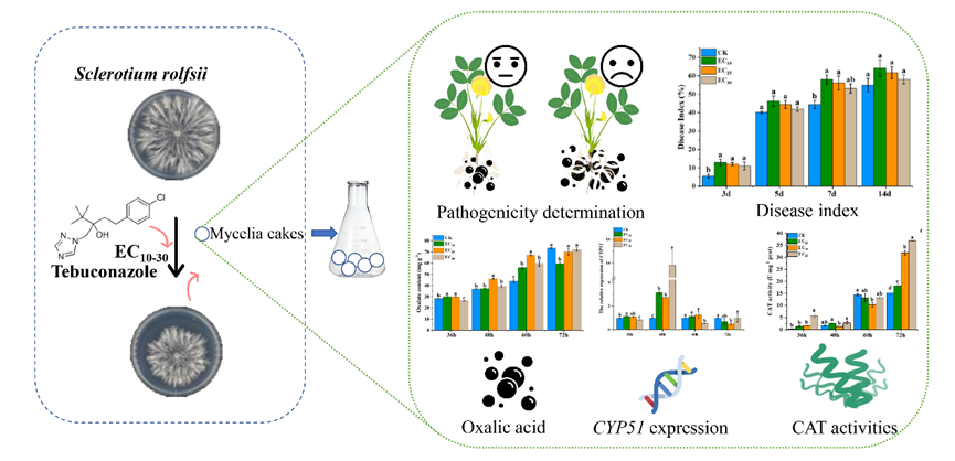 在线德州扑克现金