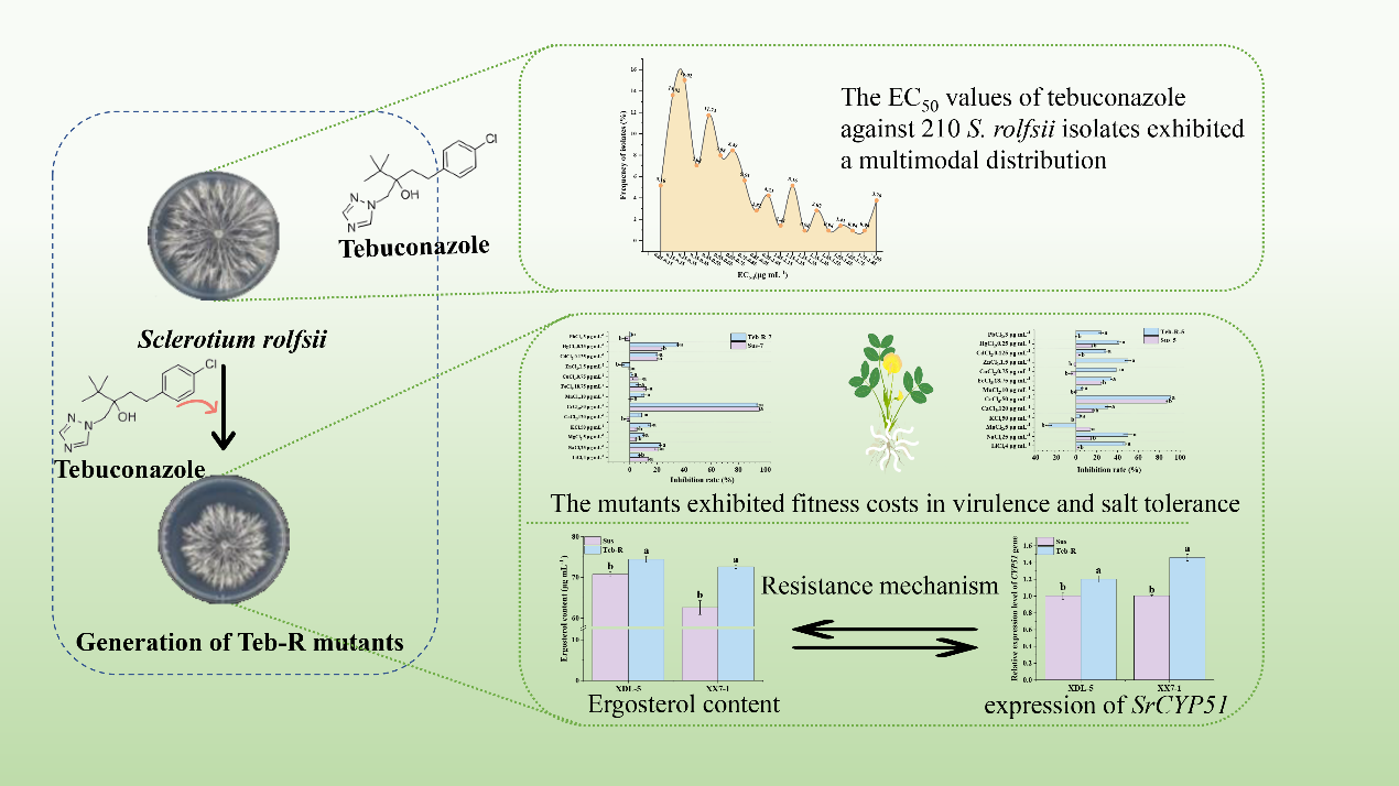 在线德州扑克现金