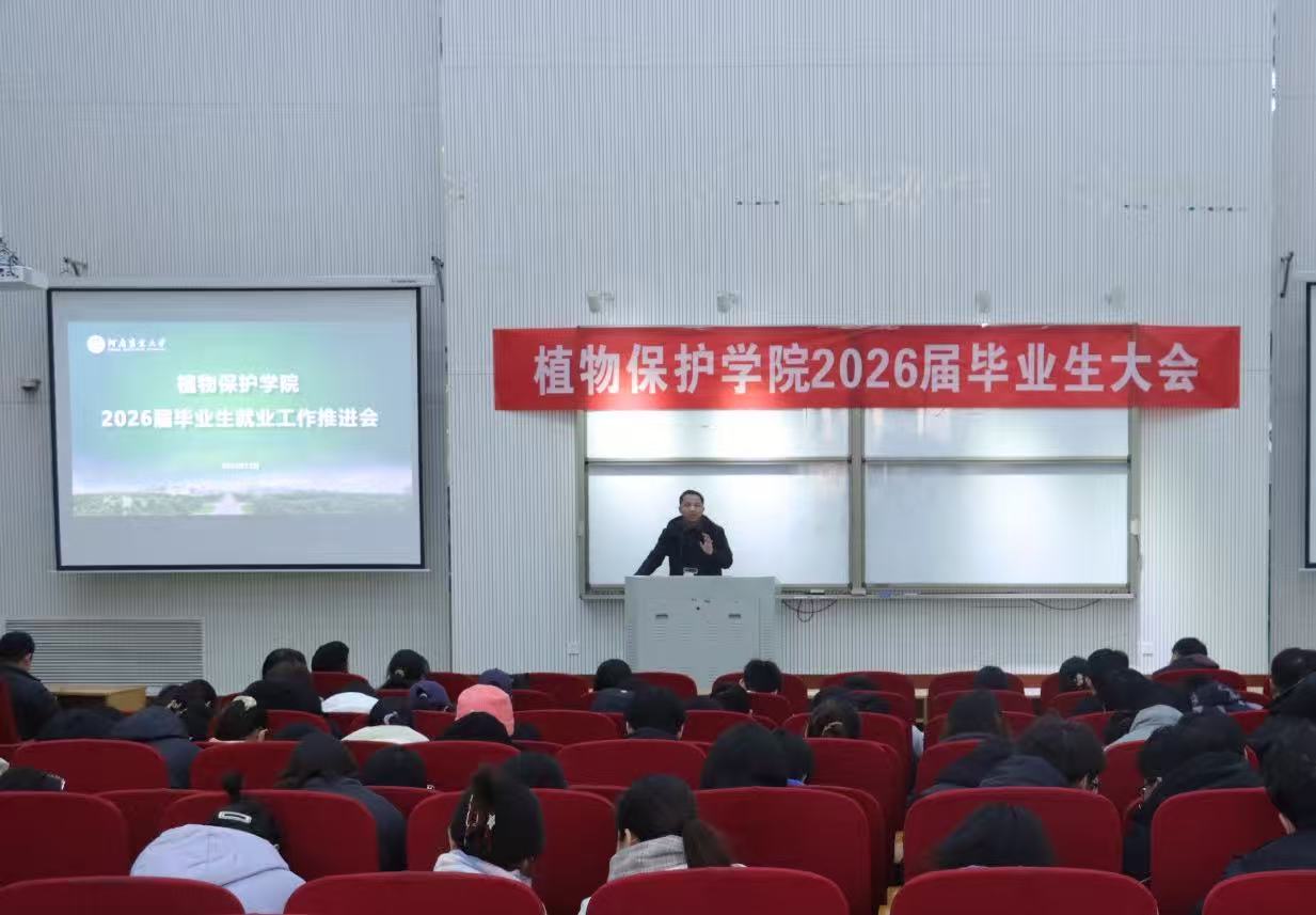 在线德州扑克现金